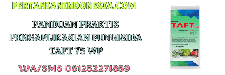 panduan,praktis,aplikasi,pestisida jenis fungisida,pertanian indonesia